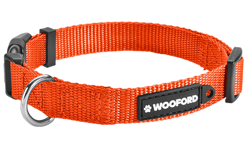 Oransje justerbart hundehalsbånd med solid D-ring i metall, lett nylon for komfort og feste av id brikke hund.
