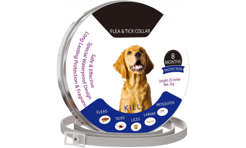 Naturlig Loppe og Flått Halsbånd For Hund Naturlig flått- og loppeskjerm for hund, 8 måneders beskyttelse, vanntett og holdbart design for trygg bruk.