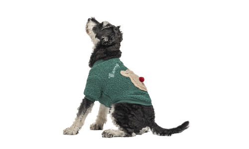 Grønn julejakke til hund med fluffy bjørnemotiv på ryggen, knappelukking, vaskbar, perfekt for vinter og høst.