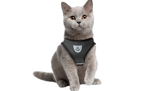 Reflekterende vest for hund med matchende bånd Svart reflekterende katteharness vest med matchende kobbel, praktisk, inkludert pustende meshstoff og 120 cm langt kobbel.
