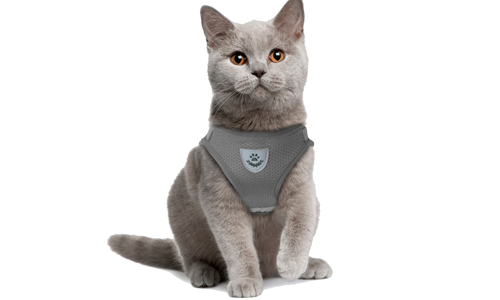 Grå reflekterende katteharness vest med matchende kobbel, praktisk, inkludert pustende meshstoff og 120 cm langt kobbel.