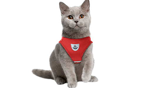 Reflekterende vest for hund med matchende bånd Rød reflekterende katteharness vest med matchende kobbel, praktisk, inkludert pustende meshstoff og 120 cm langt kobbel.