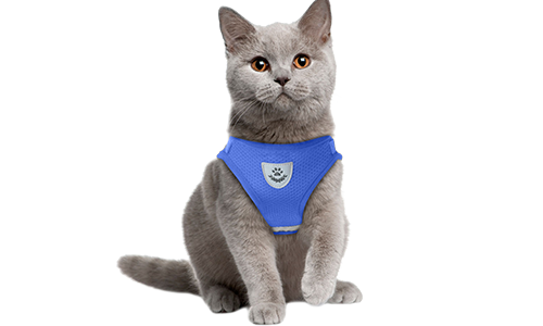 Blå reflekterende katteharness vest med matchende kobbel, praktisk, inkludert pustende meshstoff og 120 cm langt kobbel.