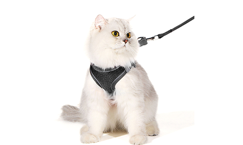 Reflekterende selevest til katt Svart reflekterende katteharness vest med matchende kobbel, justerbar og lett, 140 cm kobbel, for komfort og synlighet.