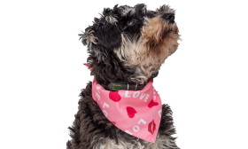 Bandana med kjærlighetsmotiv for hund Rosa hundebandana med 'LOVE' tekst, røde hjerter og kyss-merker, perfekt for Valentine's Day, komfortabel bomull.