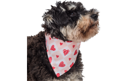 Bandana med hjertetrykk for hund Komfortabel hundebåndana med rosa og hvit rutet design og røde hjerte-mønstre, ideell for valentinens feiring.