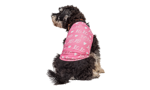 Hund som har på seg en rosa Valentinsdagsvest med hvit hjerte og 'XOXO', designet som en festlig og stilig hundedrakt.