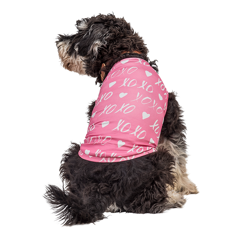 Hundevest for valp til valentinsdag Hund som har på seg en rosa Valentinsdagsvest med hvit hjerte og 'XOXO', designet som en festlig og stilig hundedrakt.