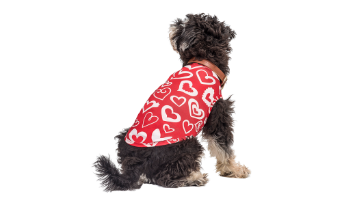 Hund som har på seg en rød Valentinsdagsvest med rød og hvit hjerte, designet som en festlig og stilig hundedrakt.