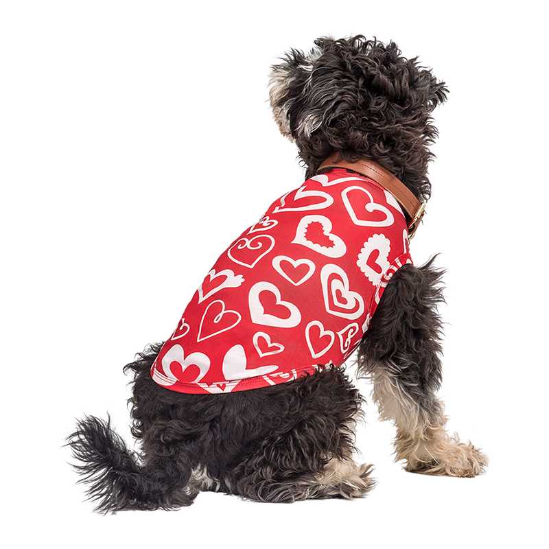 Hundevest for valp til valentinsdag Hund som har på seg en rød Valentinsdagsvest med rød og hvit hjerte, designet som en festlig og stilig hundedrakt.