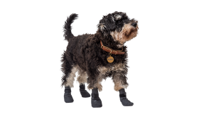 Sett med fire sportshundesokker i grått med sklisikre såler, lettvektige for hundens komfort, sklisikker gummi.