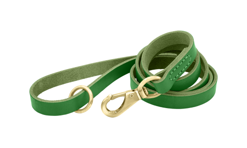 Grønt luksuriøst lærbånd til hund, 150 cm langt med gullspenne og ring for slitestyrke og komfort.