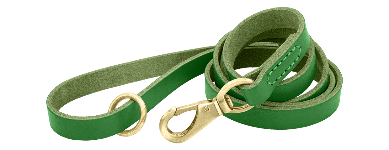 Luksuriøst bånd til hun i eke skinn Grønt luksuriøst lærbånd til hund, 150 cm langt med gullspenne og ring for slitestyrke og komfort.