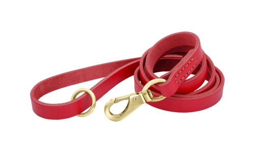 Rødt luksuriøst lærbånd til hund, 150 cm langt med gullspenne og ring for slitestyrke og komfort.