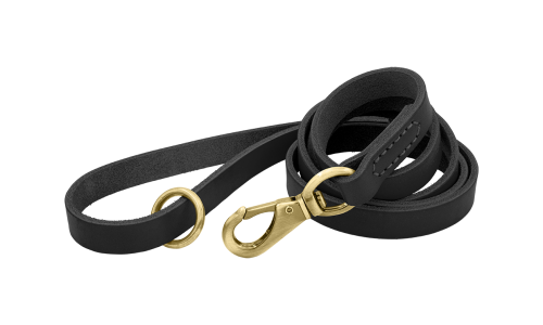 Svart luksuriøst lærbånd til hund, 150 cm langt med gullspenne og ring for slitestyrke og komfort.