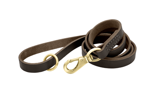 Brunt luksuriøst lærbånd til hund, 150 cm langt med gullspenne og ring for slitestyrke og komfort.