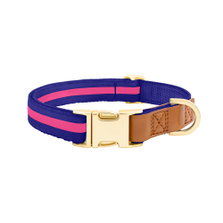 Blått hundehalsbånd med justerbar gull metallspenne, 27-40 cm lang, 1,5 cm bred, D-ring for kobbel.