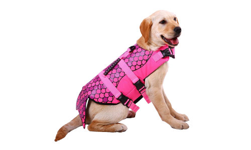 Havfrue-tema hundesvømmevest i rosa med skjellmønster, for flyt. Passer for ulike typer hunder.