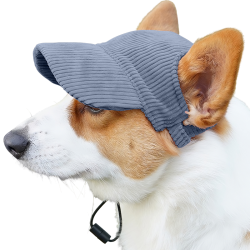 Corgi som bærer en pustende blå ribbet hundehatt, lettvektig, beskytter mot solen på sommerutflukter.