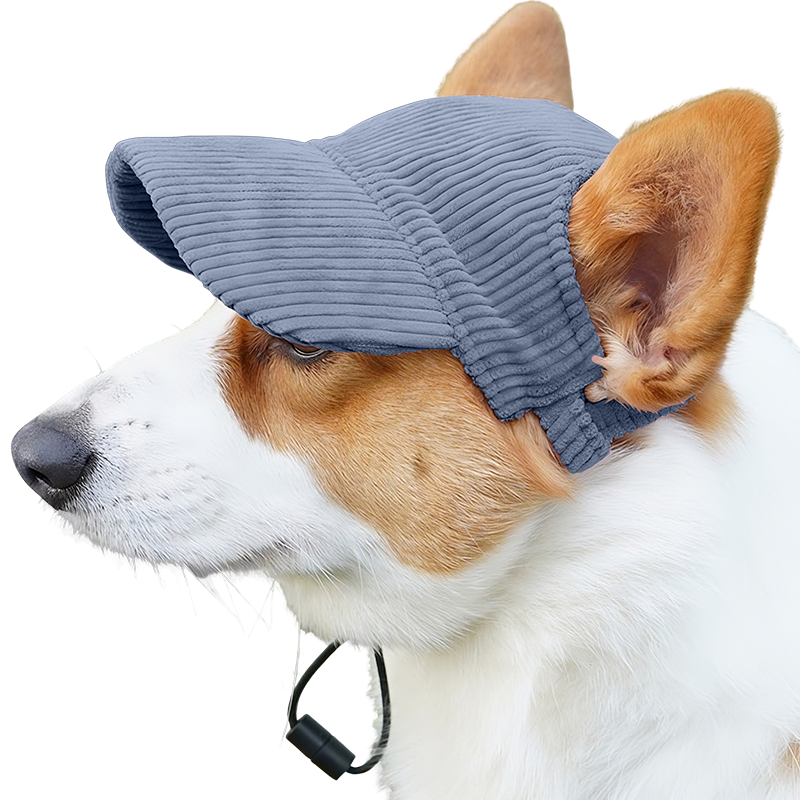 Pustende Hundesportslue for Sommeren Corgi som bærer en pustende blå ribbet hundehatt, lettvektig, beskytter mot solen på sommerutflukter.