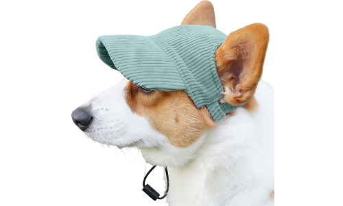 Corgi som bærer en pustende grønn ribbet hundehatt, lettvektig, beskytter mot solen på sommerutflukter.