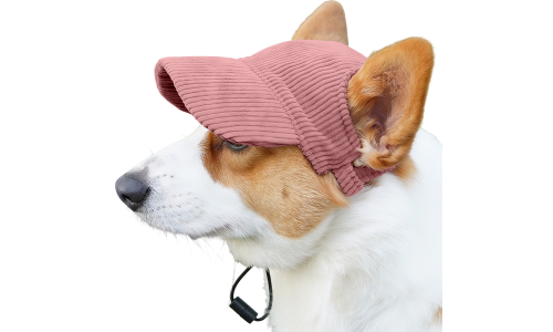 Corgi som bærer en pustende lys rosa ribbet hundehatt, lettvektig, beskytter mot solen på sommerutflukter.