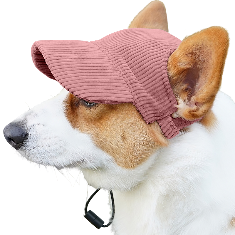 Pustende Hundesportslue for Sommeren Corgi som bærer en pustende lys rosa ribbet hundehatt, lettvektig, beskytter mot solen på sommerutflukter.