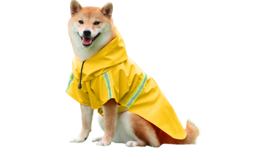 Shiba Inu i vanntett gult regnfrakk med reflekterende striper, lett å ta på og av, for regnvandringer.