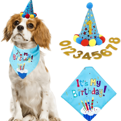 Blått hundebursdagssett med fargerik 'It's My Birthday!' bandana, myk og holdbar.