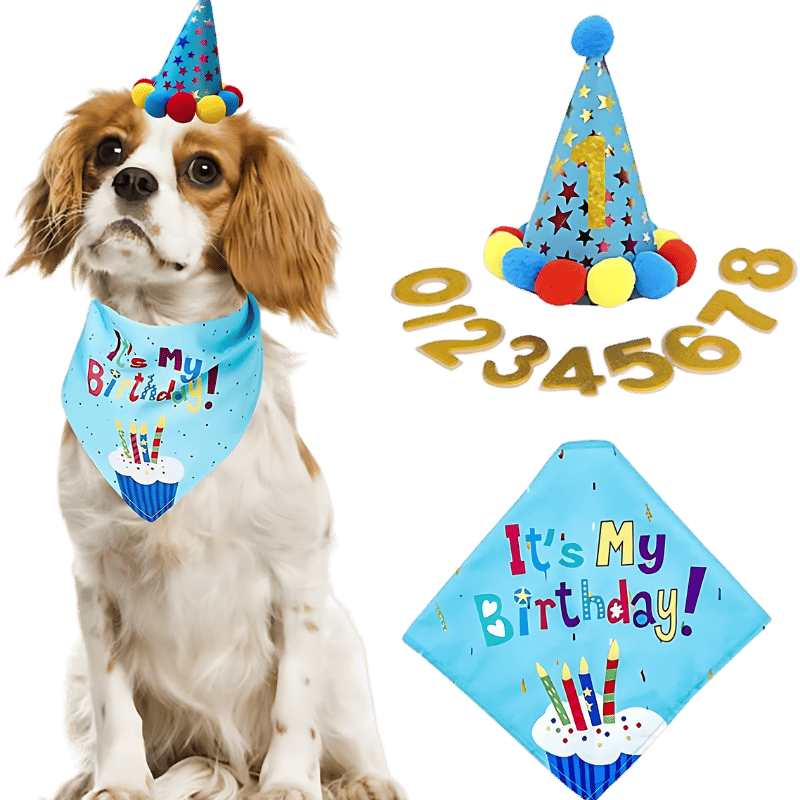 Bursdagssett til Hund Blått hundebursdagssett med fargerik 'It's My Birthday!' bandana, myk og holdbar.
