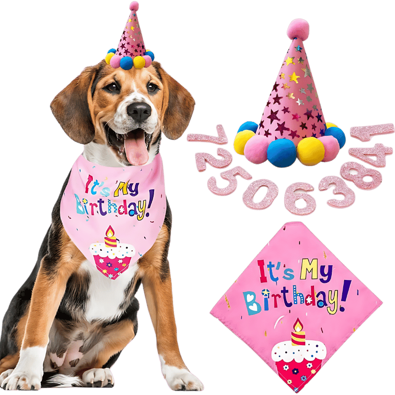 Bursdagssett til Hund Rosa hundebursdagssett med fargerik 'It's My Birthday!' bandana, myk og holdbar.