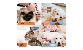 Giftfri Slikkematte med Slikkepott til Hund Giftfri Slikkematte med Slikkepott til Hund