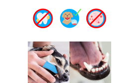 360º Fingertannbørste i Silikon til Hunder