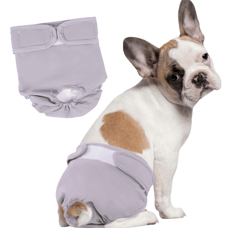 Premium Vaskbar Hundebleie til Jentehunder