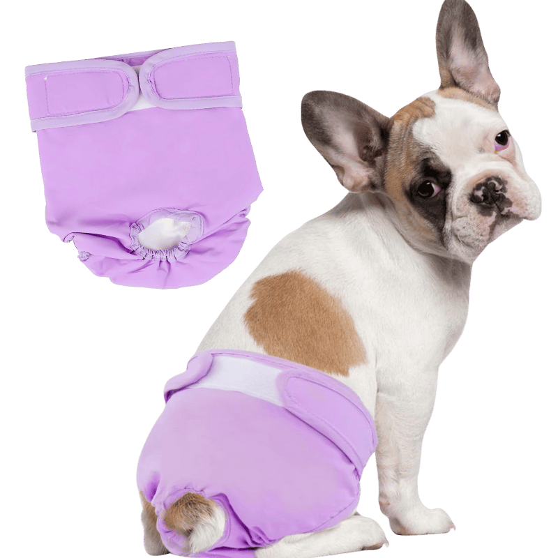 Premium Vaskbar Hundebleie til Jentehunder