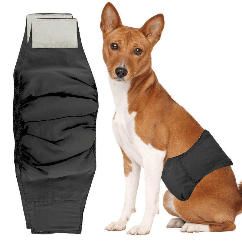 Premium Vaskbar Hundebleie til Guttehunder