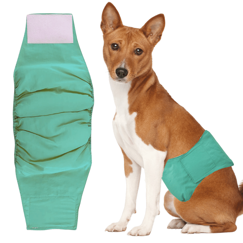 Premium Vaskbar Hundebleie til Guttehunder