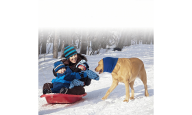 Antistresshals til Hund med Lyd-, øre- og Vinterbeskyttelse Antistresshals til Hund med Lyd-, øre- og Vinterbeskyttelse