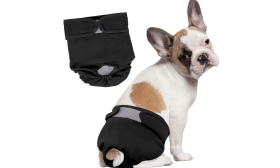 Premium Vaskbar Hundebleie til Jentehunder Premium Vaskbar Hundebleie til Jentehunder