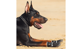 360° Refleks Hundesko – Vanntette og Sklisikre Potesokker for Hunder 360° Refleks Hundesko – Vanntette og Sklisikre Potesokker for Hunder