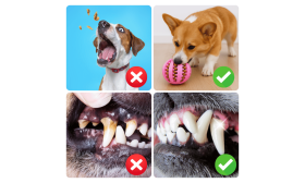 Interaktiv Hundeleke Ball – Gummileke med Godbitdispenser for Hunder