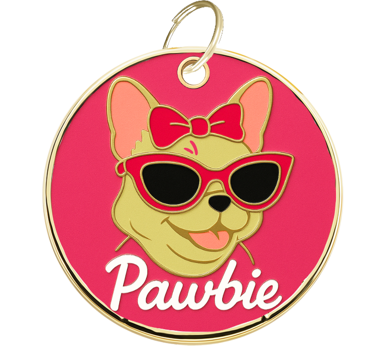 Gravert Pawbie-hundebrikke