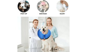 Oppblåsbart Halsbånd til Hund - Justerbart Halsbånd for Kjæledyrgjenoppretting Oppblåsbart Halsbånd til Hund - Justerbart Halsbånd for Kjæledyrgjenoppretting