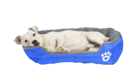 Myk hundeseng Myk hundeseng