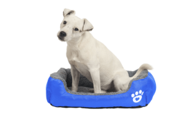 Myk hundeseng Myk hundeseng