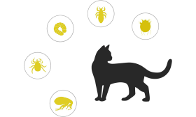 Naturlig Loppe og Flått Halsbånd For Katt Naturlig flått-halsbånd for katt, målrettet beskyttelse mot flått, lopper, larver, lus og mygg.