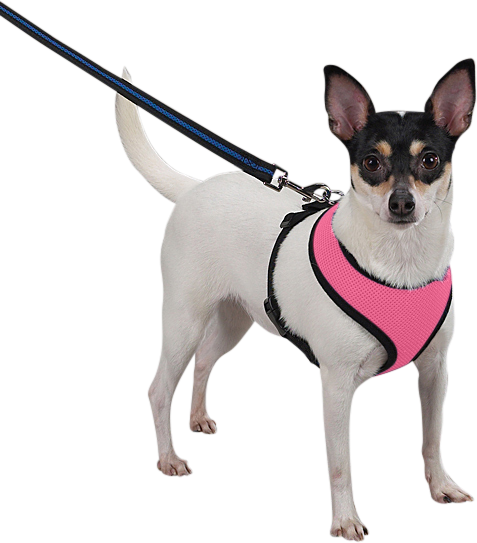 Hundesele Rosa pustende hundesele i mesh, lett design med justerbare svarte stropper og slitesterk klips for komfort.