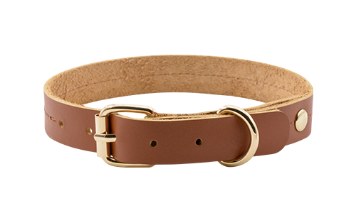 Eksklusivt Hundehalsbånd i Ekte Skinn Brunt luksuriøst hundehalsbånd i ekte lær, 27-34 cm langt og 2,2 cm bredt, med gullspenne og D-ring for holdbarhet.