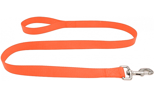 Viktig Slikesterk Hundebånd Oransje slitesterk nylon hundebånd, 120 cm, lett å rengjøre med sikker sølvlås for trygg feste av id brikke hund.